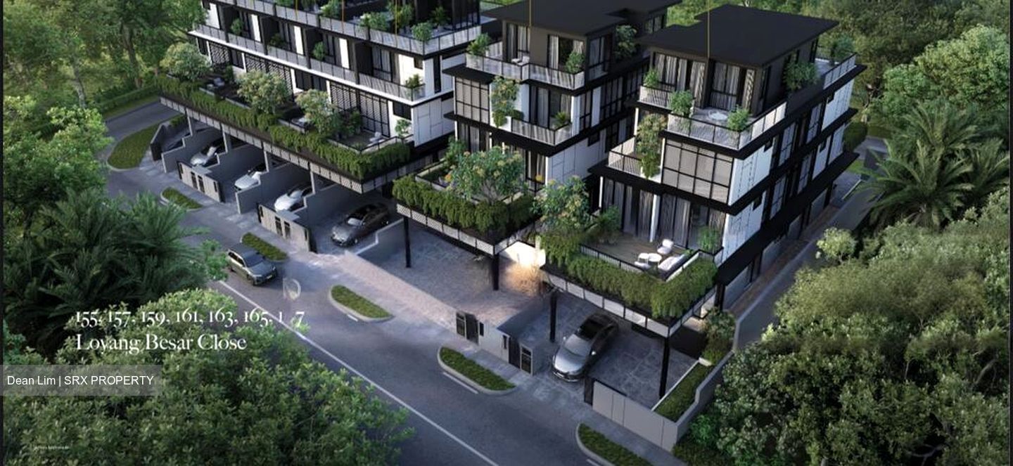 Loyang Besar Close (D17), Terrace #490044981